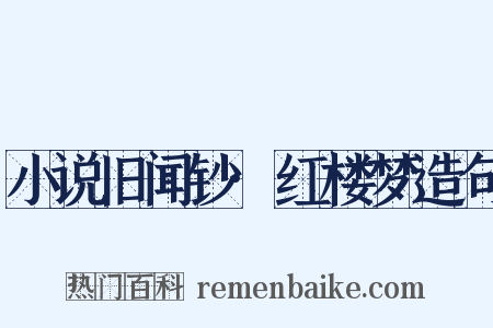 小说旧闻钞·红楼梦造句是什么意思的图片